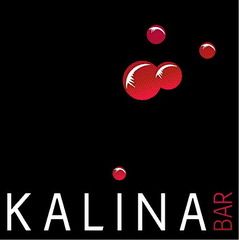 Ресторан Калина Бар (Kalina Bar) Москва, отзывы, цены, меню, фото