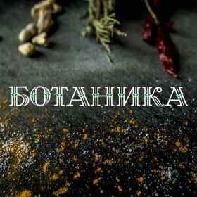 Кафе Ботаника Санкт-Петербург меню цены отзывы фото
