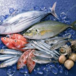 Польза рыбы и морепродуктов для человека