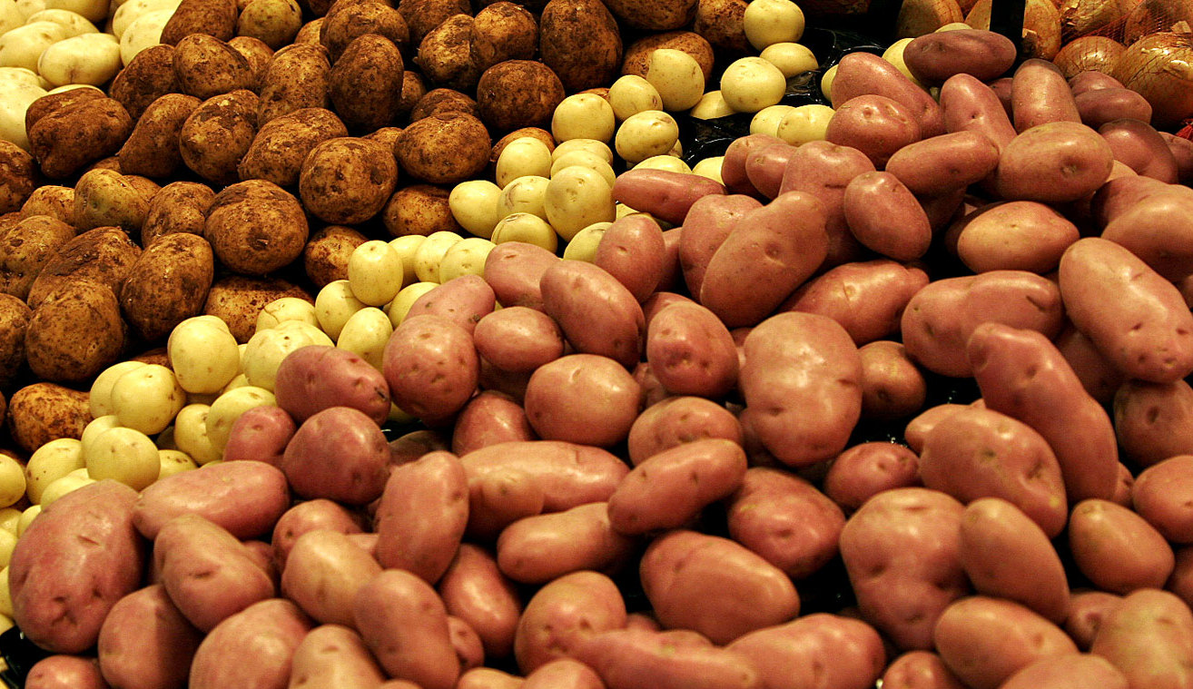 Интересные факты про картофель, история культурного растения картошка